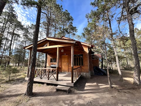"Cabaña Montana" in Mexiquillo, Durango