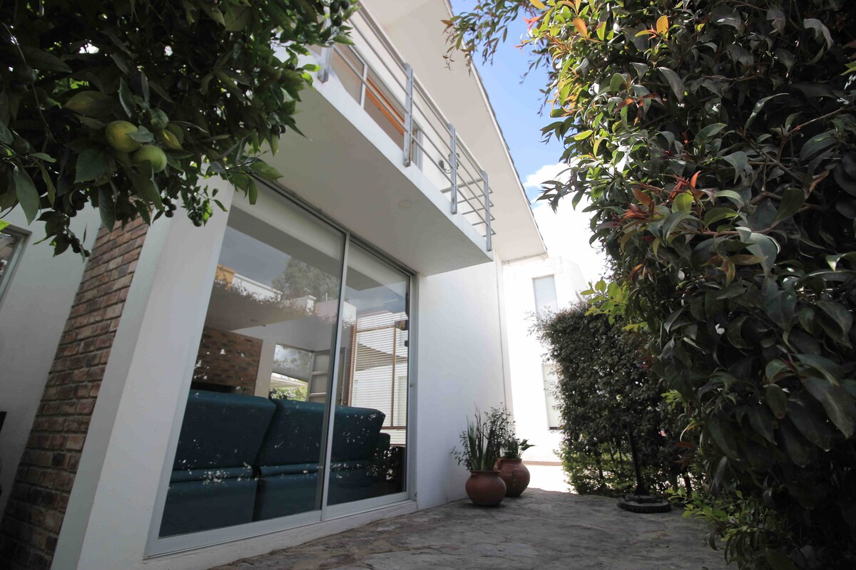 A modern exterior view showcases large glass windows along a white facade, revealing comfortable seating within. Lush greenery frames the image, with potted plants positioned among stone pathways, creating a tranquil and inviting space.
