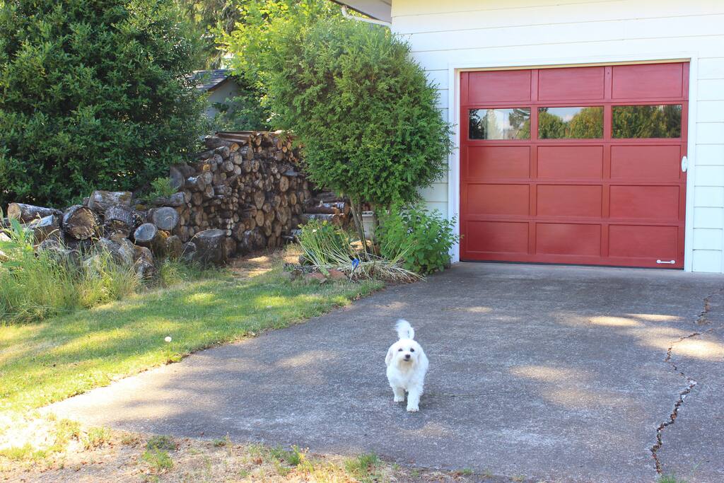 Rosemary, our welcoming helper, and the place you may park your car.