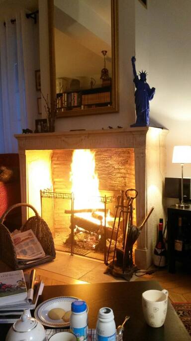 Beau feu de bois dans le salon