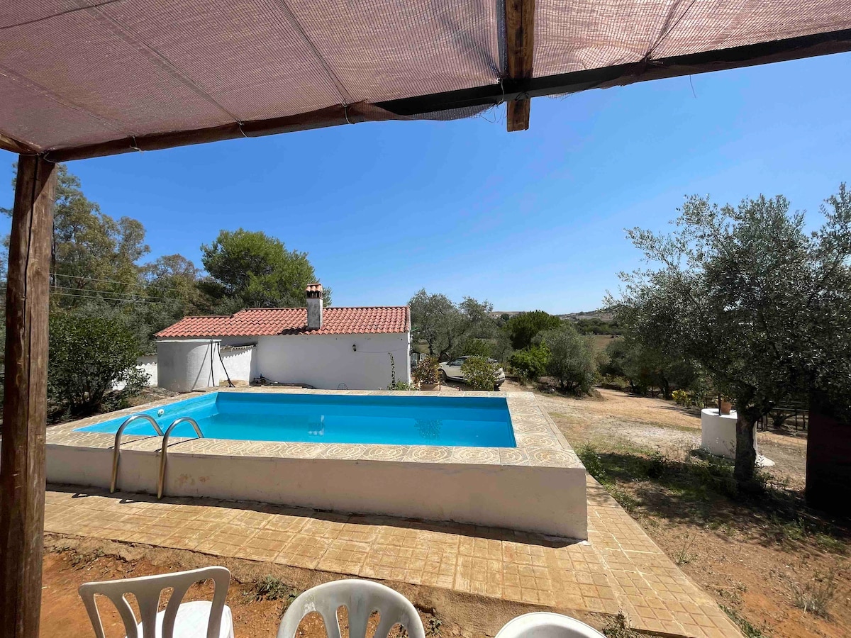 The image shows a private swimming pool surrounded by a tiled patio, with white lounge chairs positioned nearby. Olive trees and greenery are visible in the background, while a charming white house with a red roof can be seen beyond the pool.