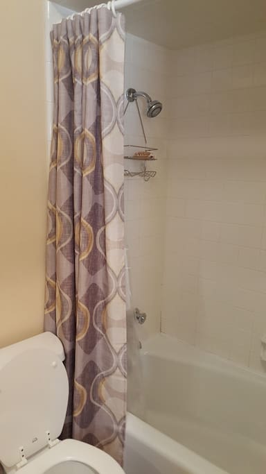 Bath tub / shower combo.