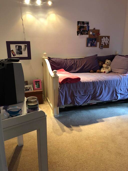 Second bedroom with daybed and trundle.