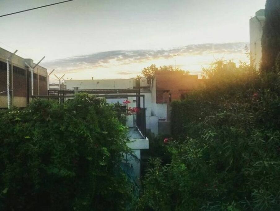 Vista desde terraza