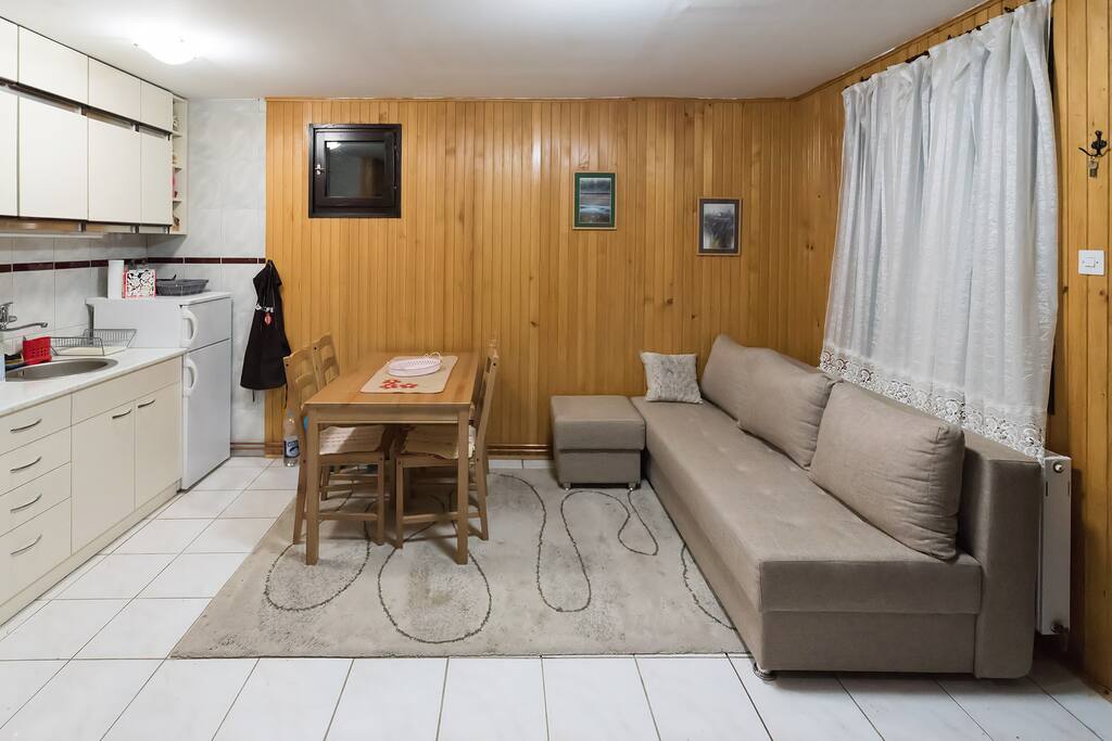 Living room and kitchen
