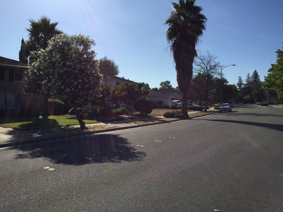 silent neighborhood