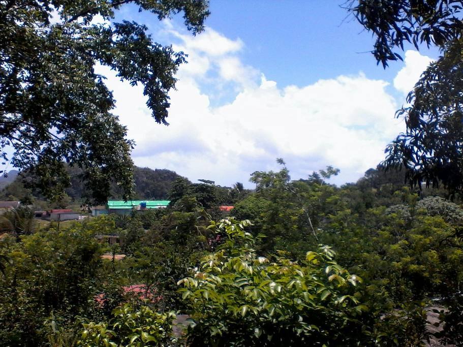UNA VISTA PRECIOSA