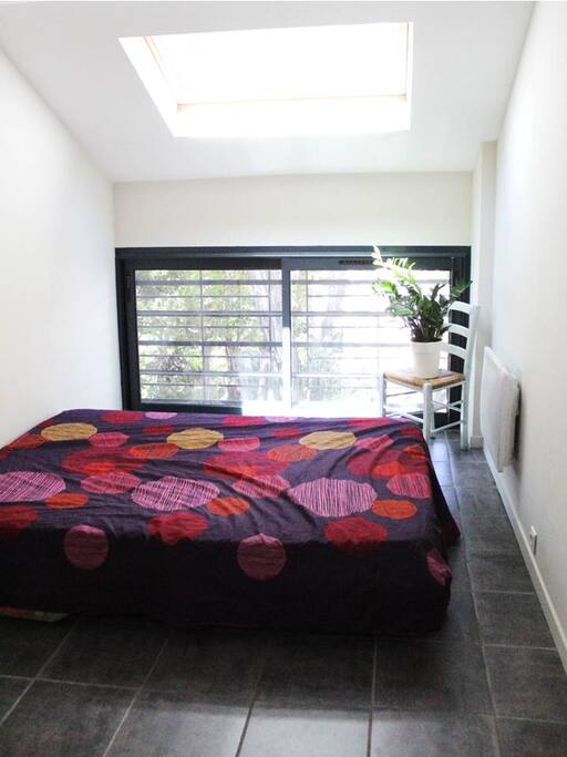La chambre proposée