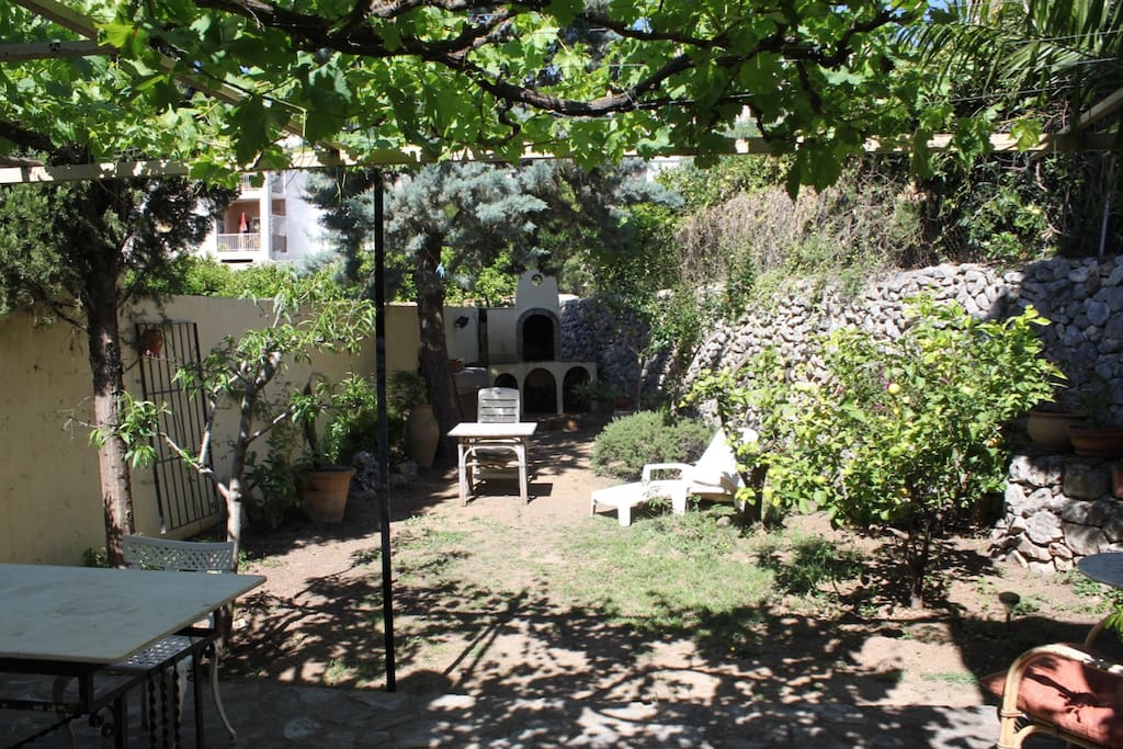 The garden...