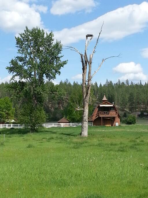 Cabin Front