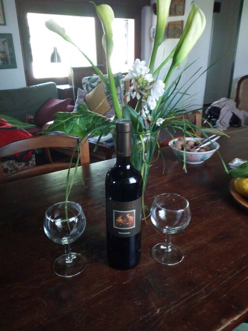 Assaggiate i vini friulani e sloveni