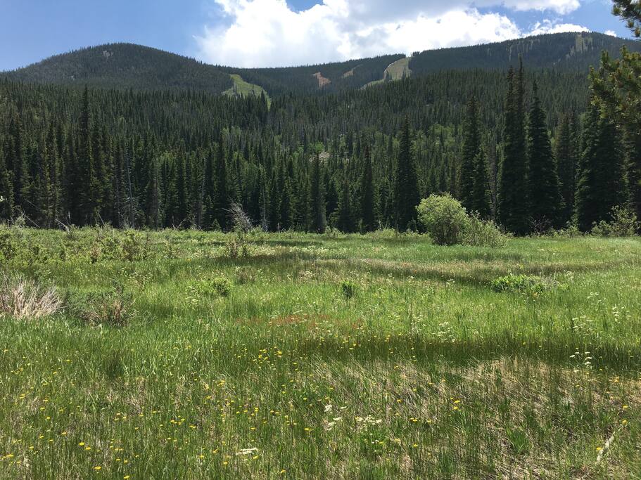 Hesse trail is just up the road ;)