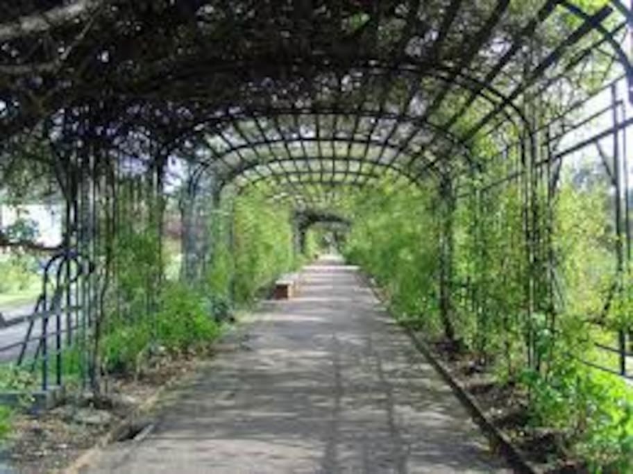 Rosedal