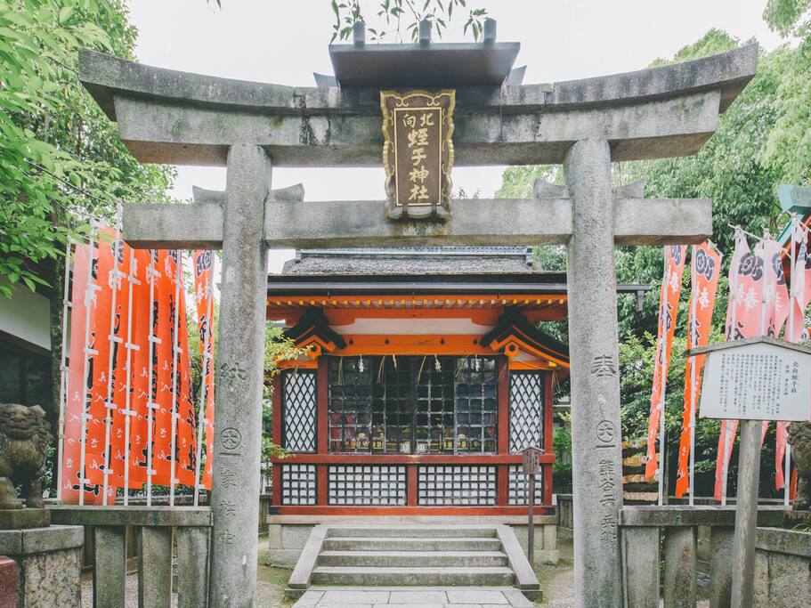京都 在八坂神社偶遇一场日本传统婚礼 爱彼迎故事airbnb Com