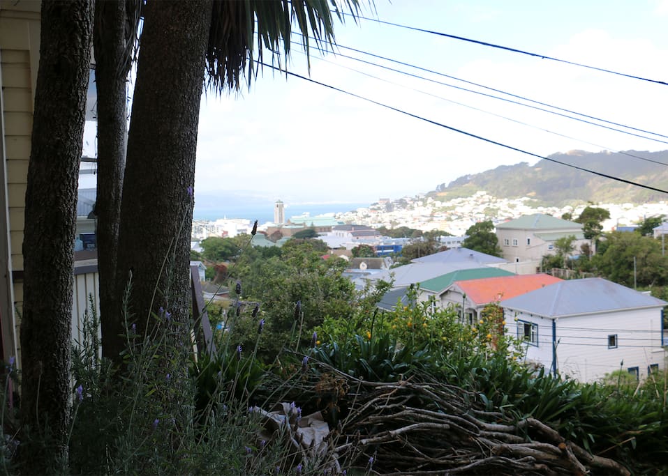 Wellington views from front deck