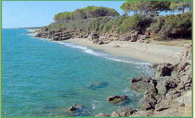 Get 4 condos chambre dans plage au nord de myrte For Free