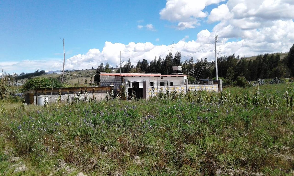 A single-story house is set on a spacious plot surrounded by greenery. Wild grasses and plants cover the area, with a clear view of the blue sky and scattered clouds in the background. Trees line the space, adding a natural touch to the scenery.