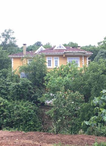 Doğa’nın içinde huzur bulabileceğiniz rahat bir ev gallery image 4