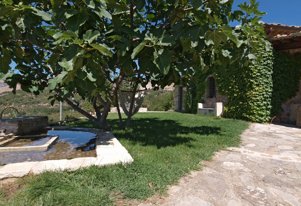 Un angolo del giardino con fontana