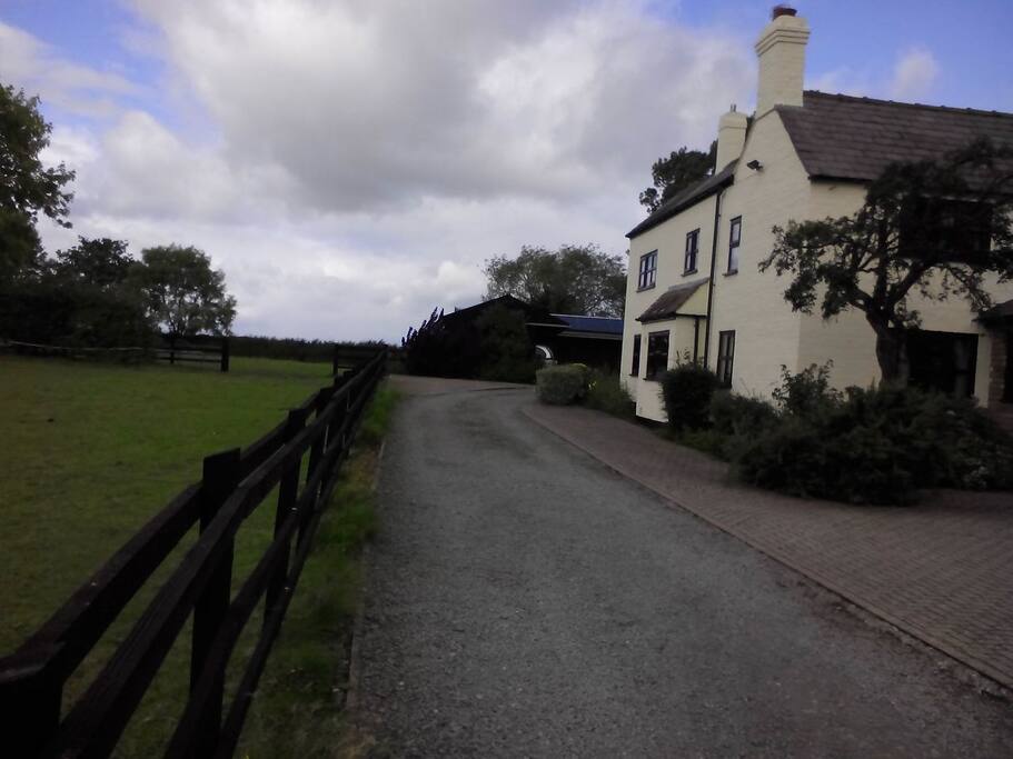 our two fields at the side of the house