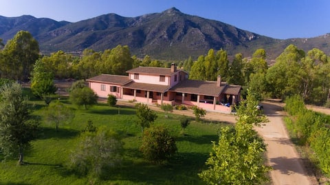Villa surrounded by greenery
