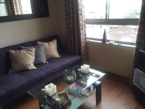 Habitación en Santiago Centro Barrio tranquilo