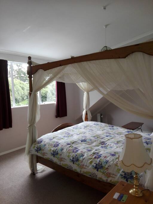 Pukeko room and view