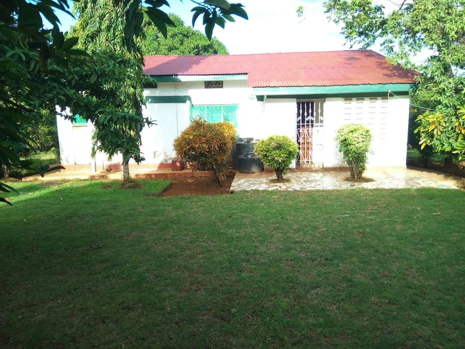 The house