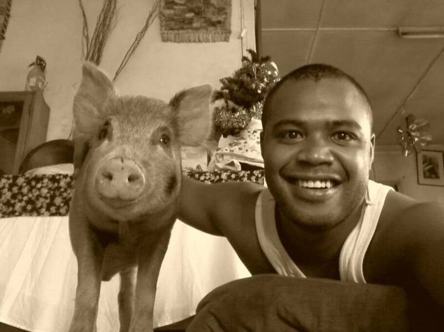 My belated pet Pako past away last year during cyclone winston