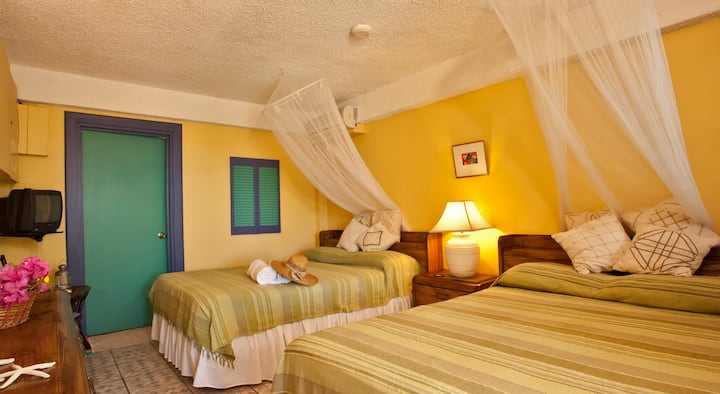 卡普里别墅Guava客房 