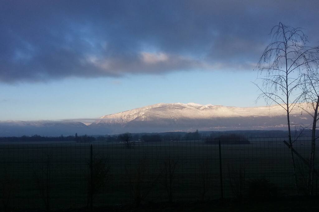 VUE DU JARDIN : LE JURA