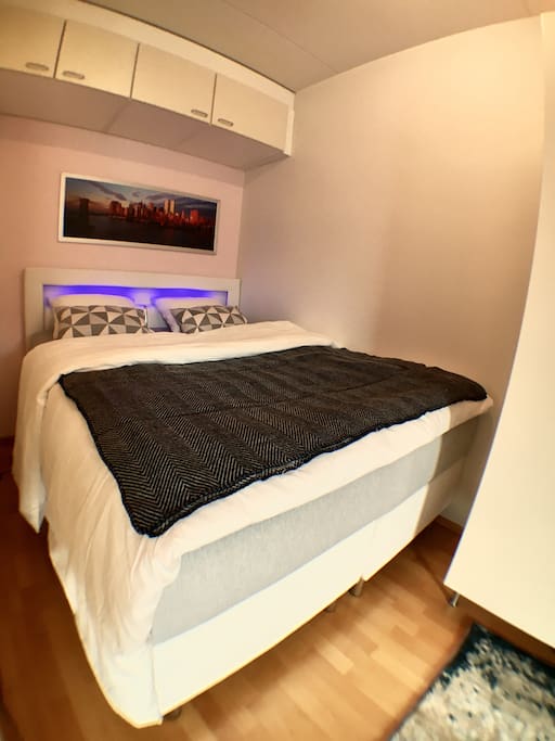 The bed. It's 160cm wide, with medium feel mattress. Sleep well!