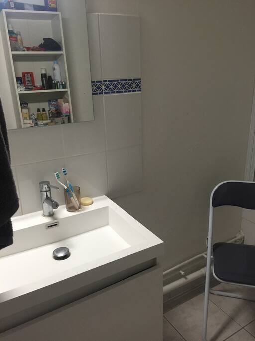 Sdb : baignoire, toilettes séparés