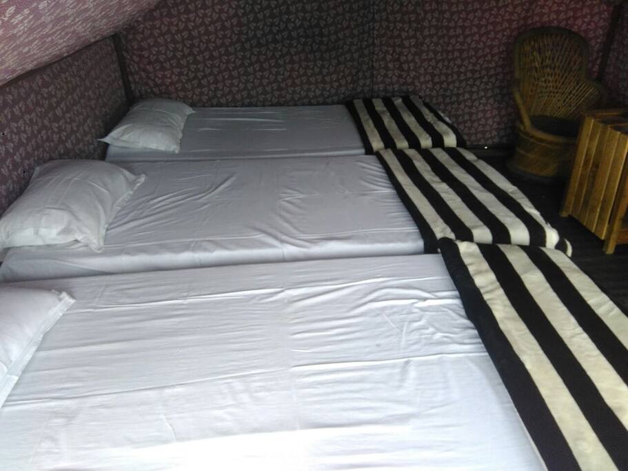 tented accommodation on triple sharing basis