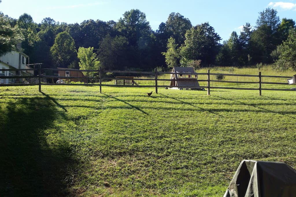View from bedroom window. Enjoy the view of our small family farm life which includes chickens (baby and adult), 2 baby goats, and a calf named Juice Box.