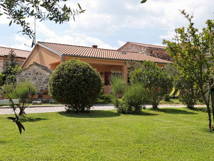House outside+garden