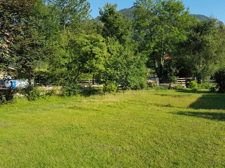vorderer Teil des Gartens