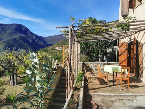 Entire house with garden