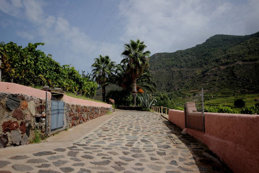 l'ingrasso della villa