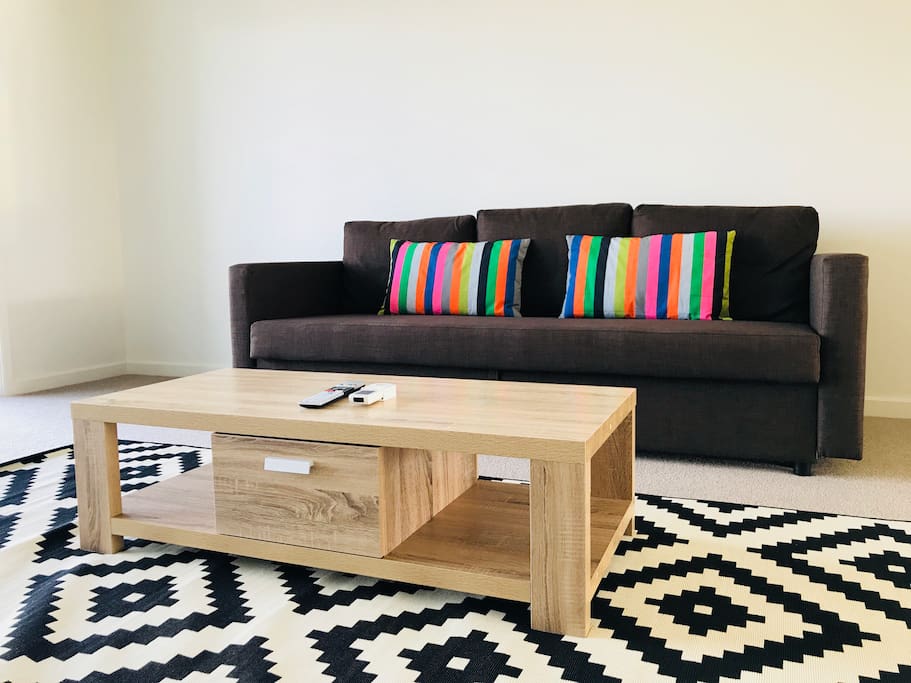 Comfortable Queen size sofa bed