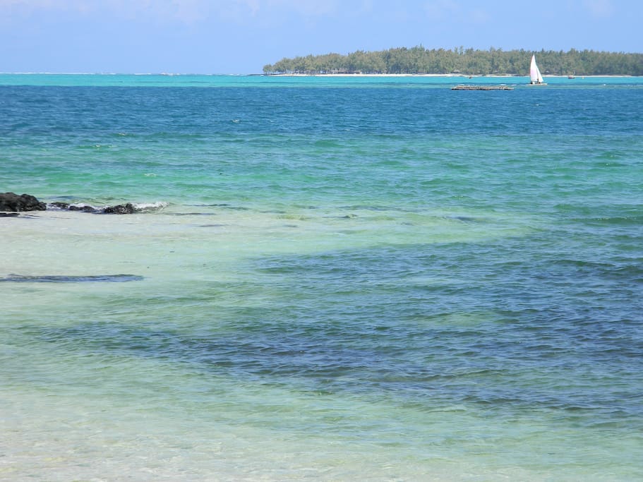 View from the beach
