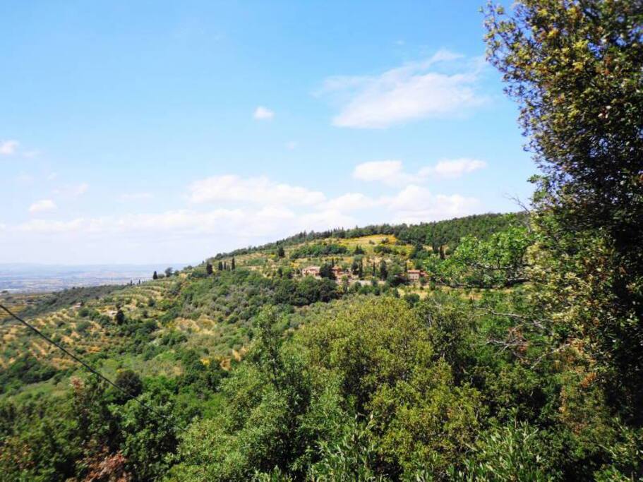 Vista dell'Agriturismo
