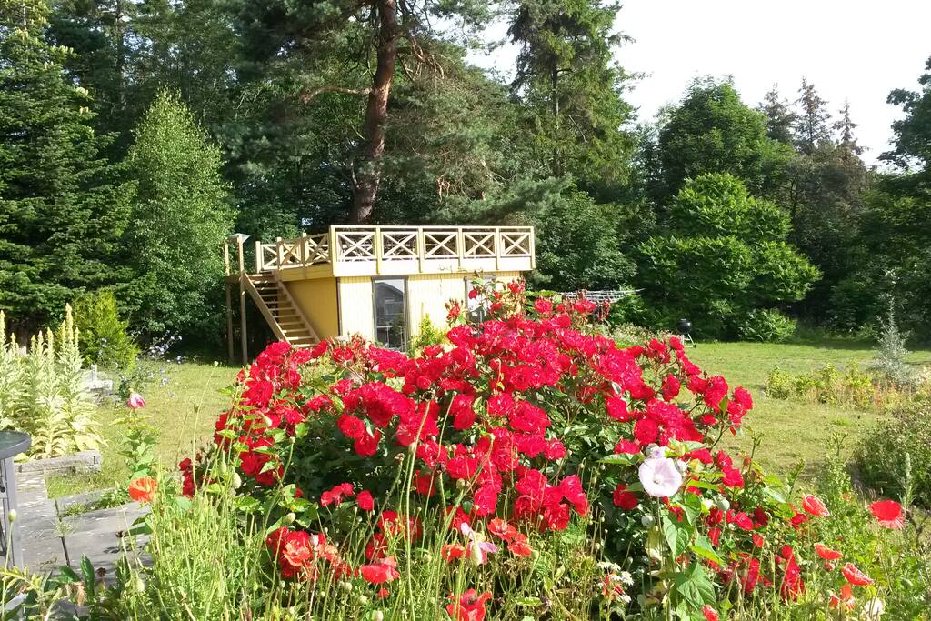 Udsigts terrasse