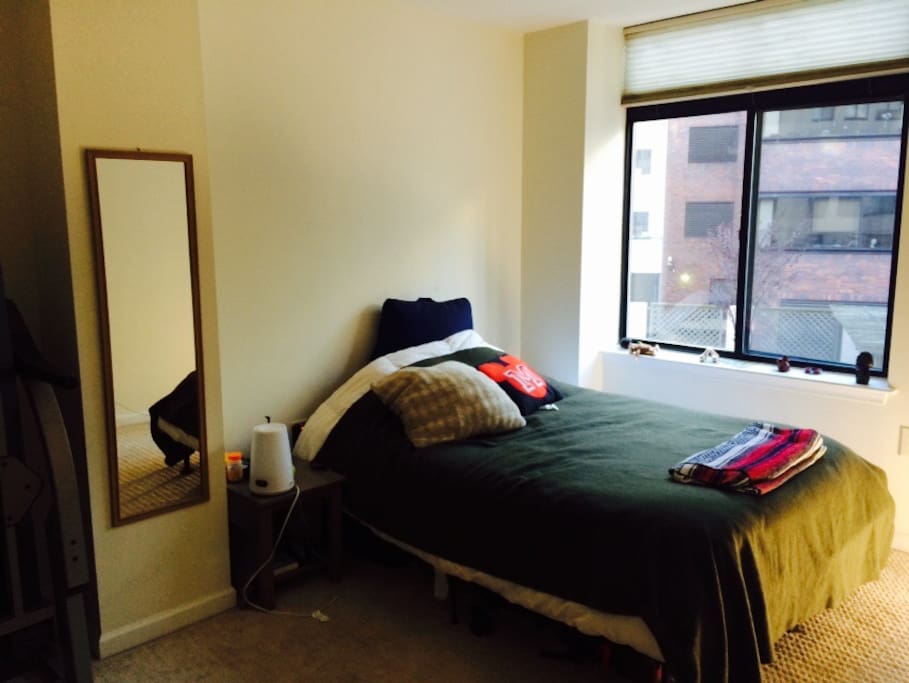 Bedroom and living room both have south-facing windows