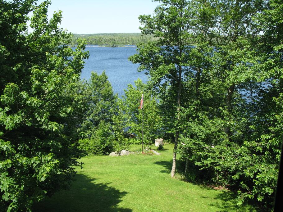 lake view in summer