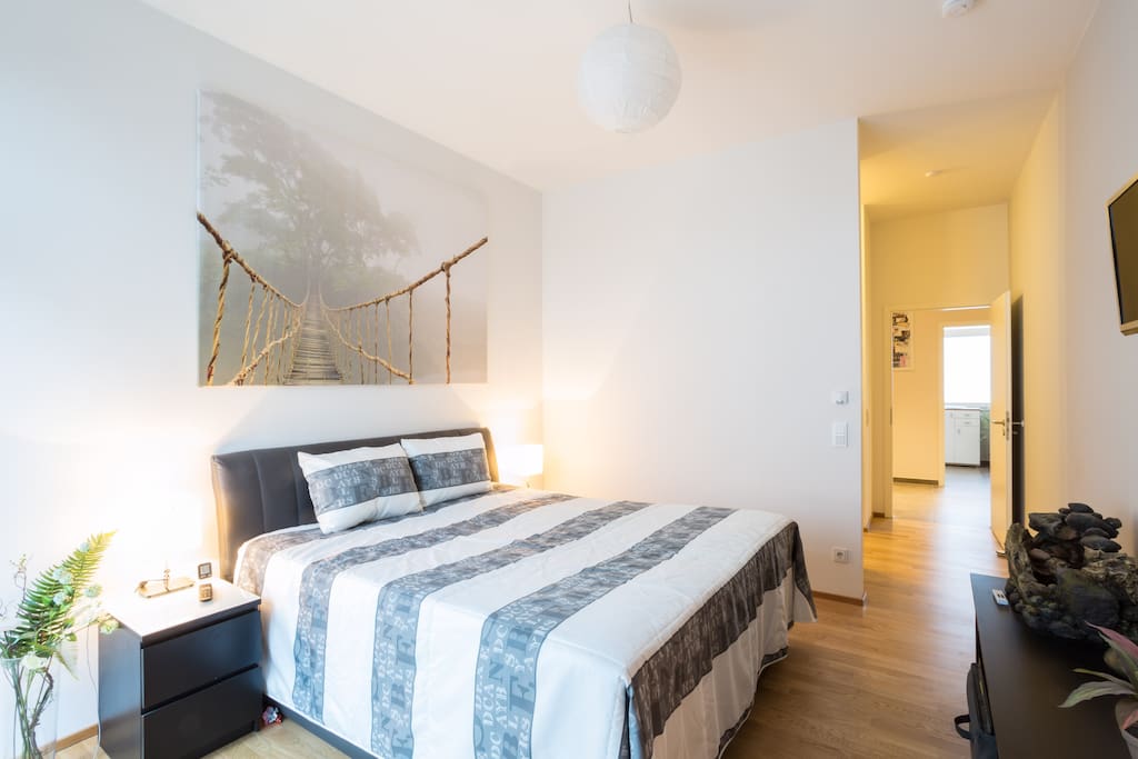 Single bad vilbel