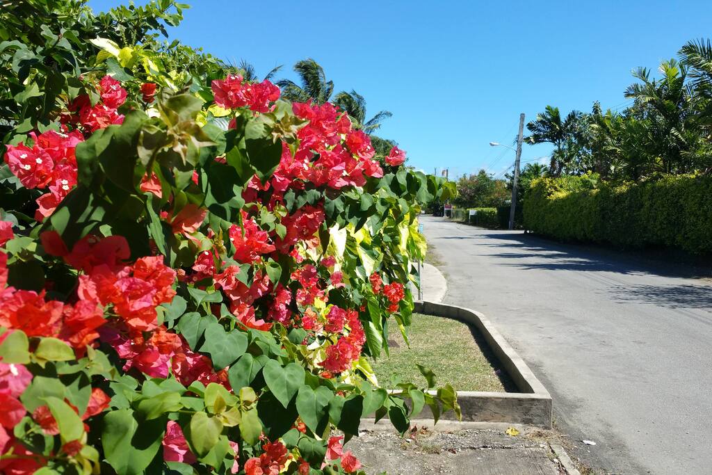 Delightful Quiet road near beach