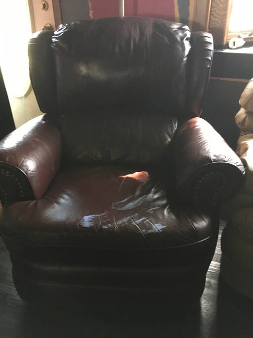 Somebody loves to recline!