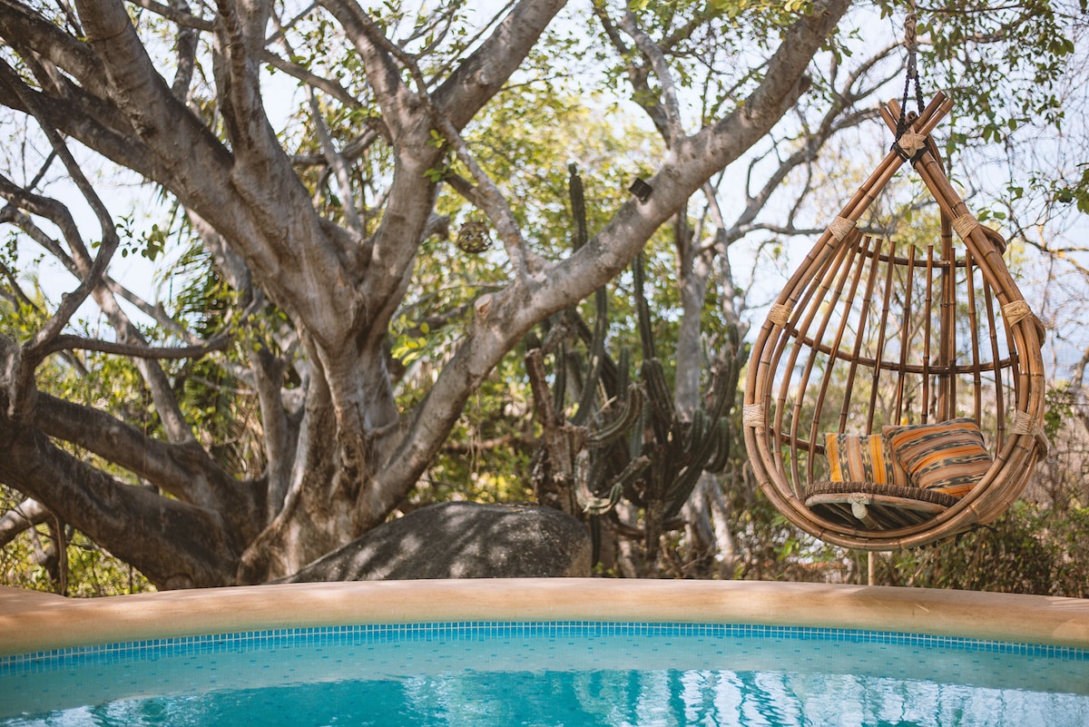 A serene view featuring a circular pool filled with clear water, surrounded by lush greenery. A hanging wicker chair is positioned nearby, providing a cozy spot to enjoy the natural surroundings. Large trees and cacti add depth to the tranquil landscape.