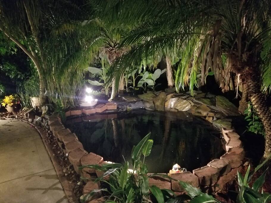 Come and sit and enjoy the sounds of the beautiful waterfalls